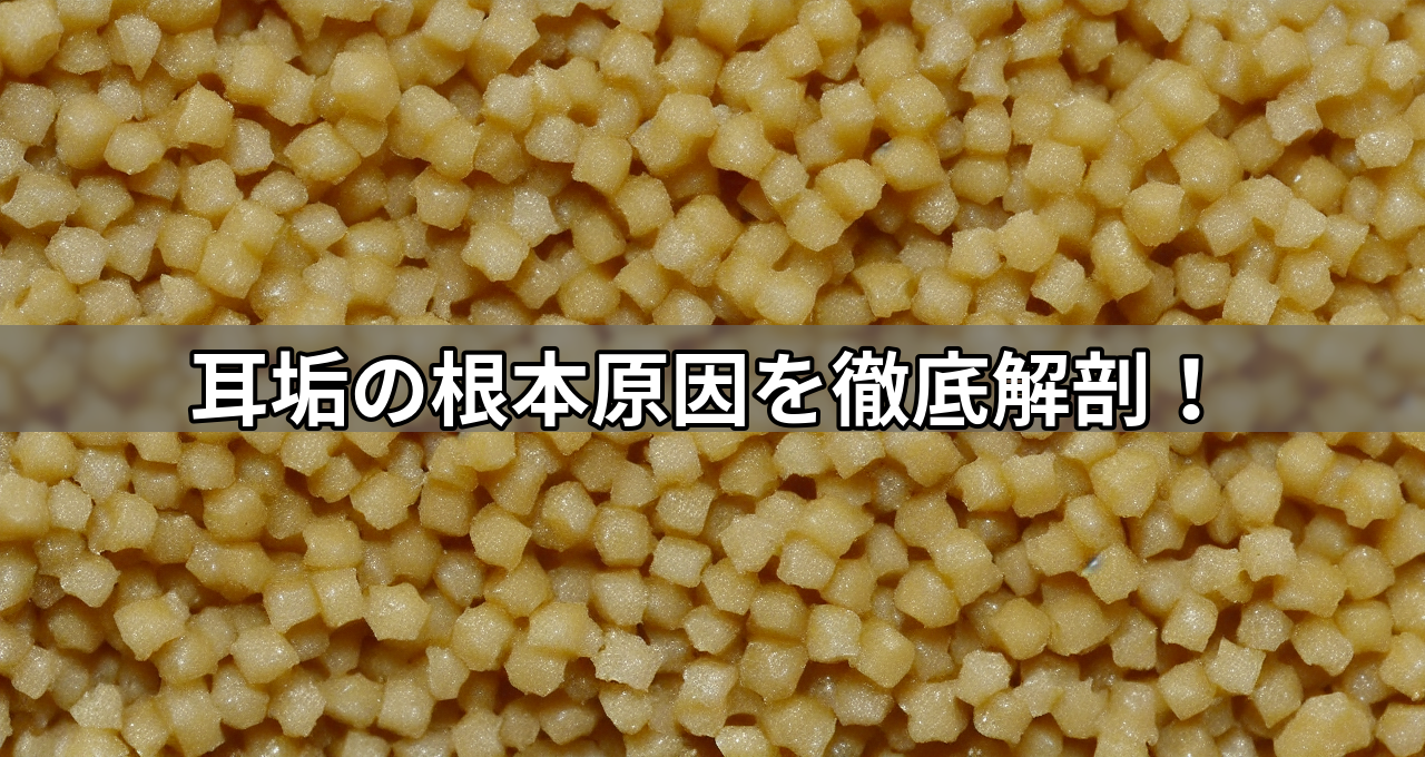 耳垢の根本原因を徹底解剖!
