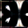 レビュー者の写真