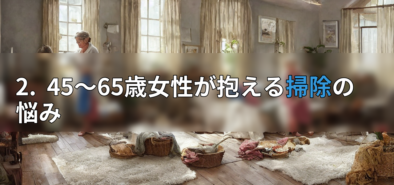 2. 45~65歳女性が抱える掃除の悩みの画像