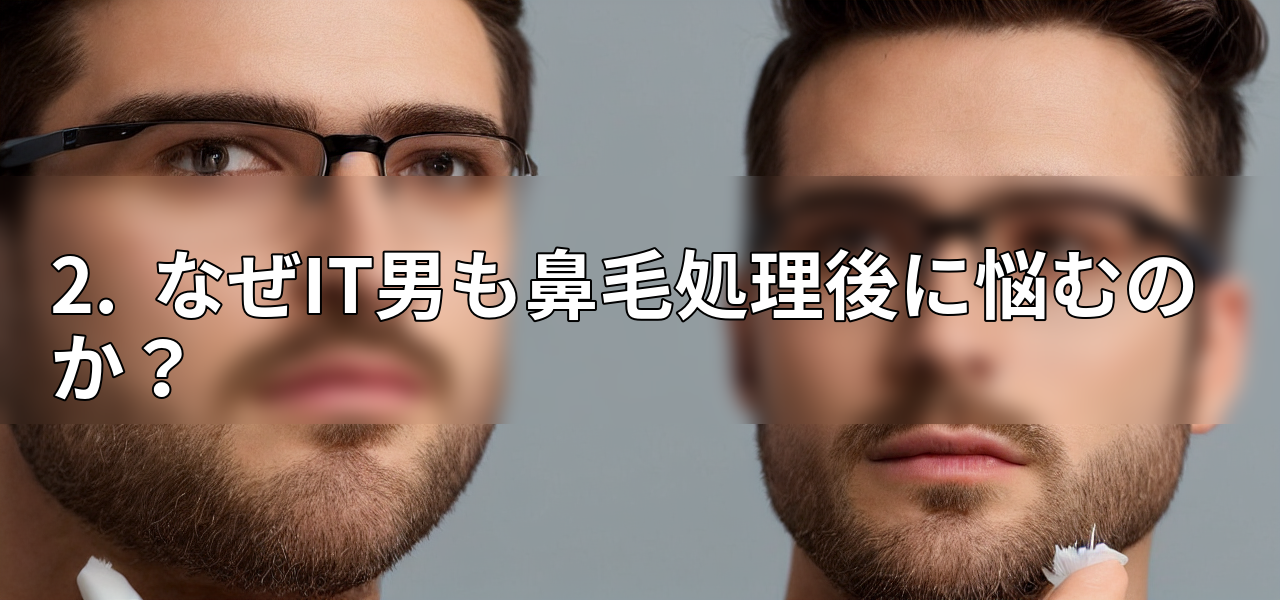2. なぜIT男も鼻毛処理後に悩むのか?の画像