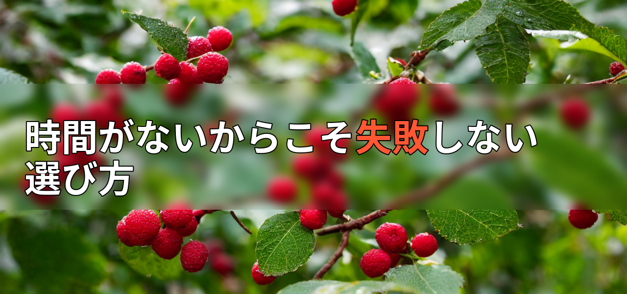 時間がないからこそ失敗しない選び方の画像