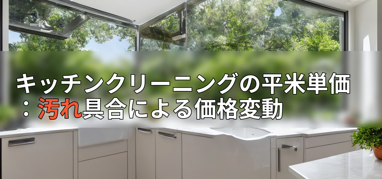キッチンクリーニングの平米単価:汚れ具合による価格変動の画像