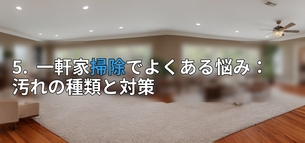 5. 一軒家掃除でよくある悩み:汚れの種類と対策の画像